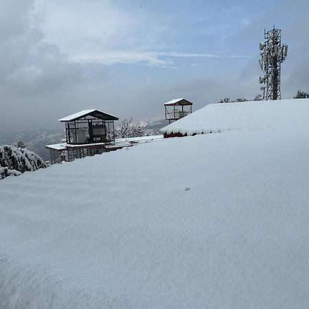Hotel Jakhu Heights Shimla Buitenkant foto
