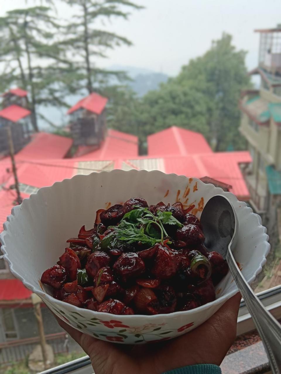 Hotel Jakhu Heights Shimla Buitenkant foto