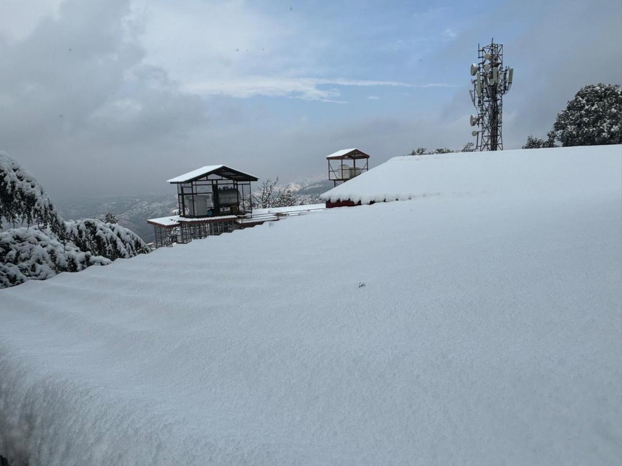 Hotel Jakhu Heights Shimla Buitenkant foto