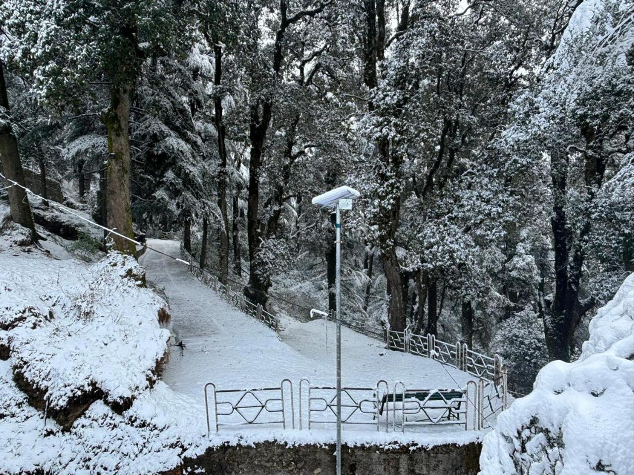 Hotel Jakhu Heights Shimla Buitenkant foto