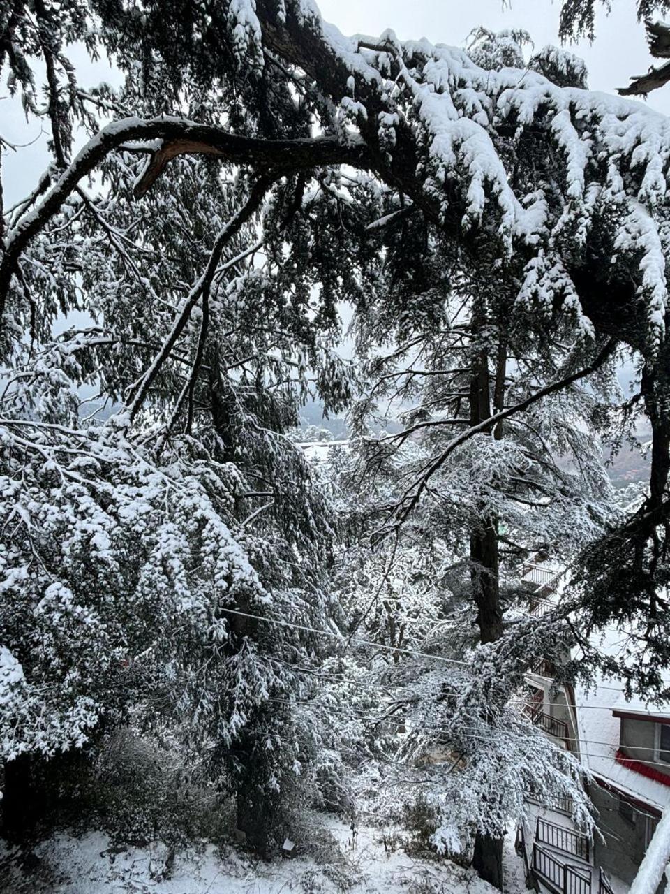 Hotel Jakhu Heights Shimla Buitenkant foto