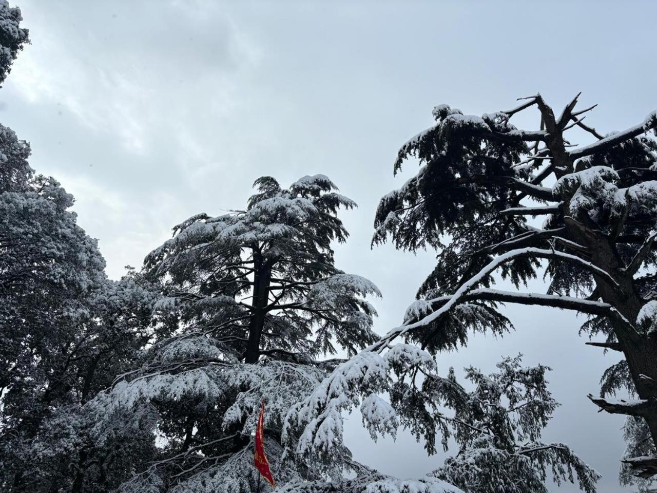 Hotel Jakhu Heights Shimla Buitenkant foto