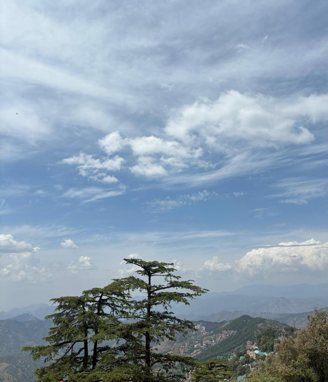 Hotel Jakhu Heights Shimla Buitenkant foto